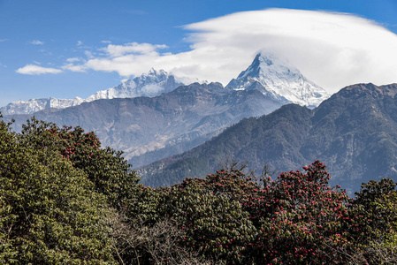 在尼泊尔的安纳布尔纳山脉