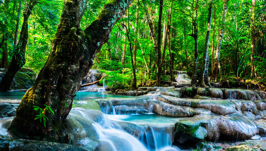 在热带森林在爱侣湾国家公园，Thaila 瀑布