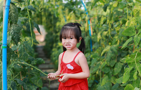 可爱小的亚洲女孩是蔬菜园里的植物中，孩子们玩，小帮手