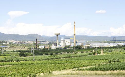 Landscape of vineyards in Peneds