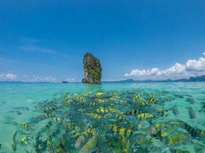 甲米海滩集装箱图片