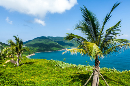 在这座山，越南下龙湾