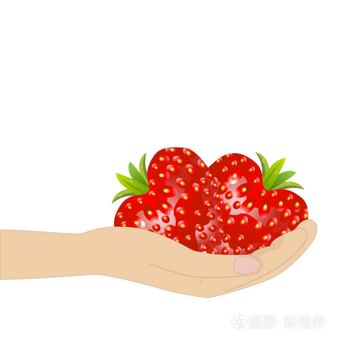 成熟的浆果的草莓在白色背景上的手