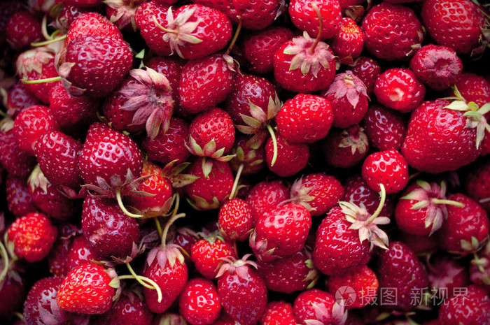 新鲜草莓的背景。草莓