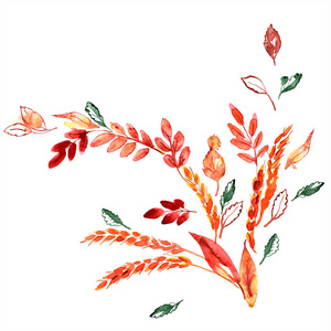 水彩手绘橙色秋叶和耳朵。感恩节的装饰
