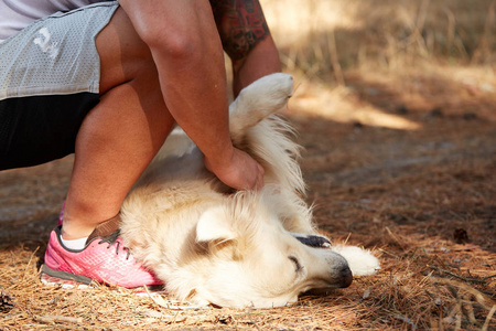 英俊的年轻男子与一只拉布拉多犬在户外在森林里