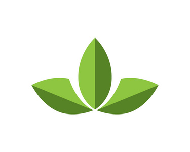 矢量树叶的绿色自然标志和符号照片