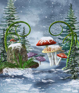 在一个冬天草甸蘑菇