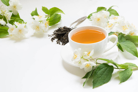 干茉莉花茉莉花干绿茶叶与新鲜的茉莉花和杯茶在白色背景上.