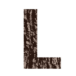 用橡树树皮制成的字母 l