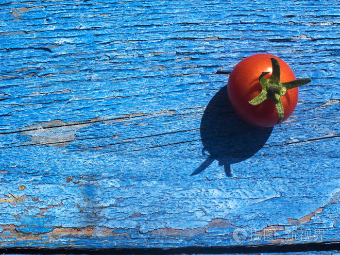 在蓝色背景上的樱桃西红柿