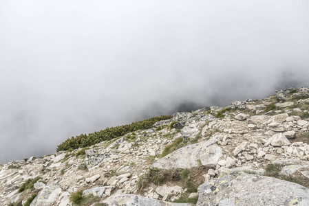 在阴天有雨云的山地景观。塔特拉山