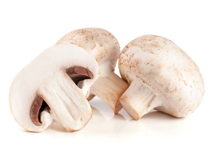 新鲜香菇蘑菇上孤立的白色背景