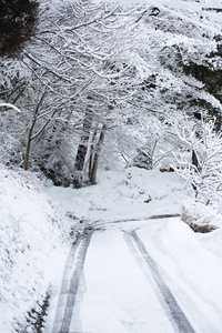 覆盖在雪里，日本的小路上