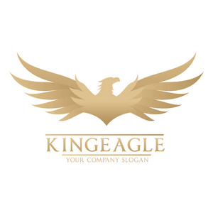 飞鹰 logo,小鸟标志套装,猎鹰徽标,鹰标志,矢量标志模板照片