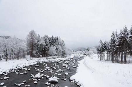 小河和树覆盖在雪里，日本