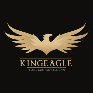 飞鹰 logo,小鸟标志套装,猎鹰徽标,鹰标志,矢量标志模板照片