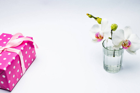 用白底粉红礼品盒玻璃白色兰花