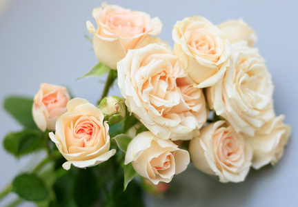 温柔的玫瑰花的花束