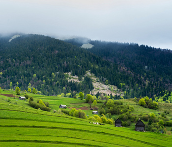 绿色的草地，在山村里