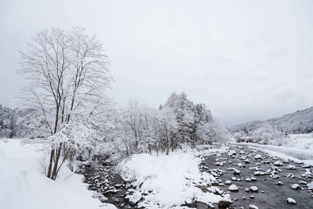 小河和树覆盖在雪里，日本