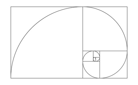 黄金比例图片