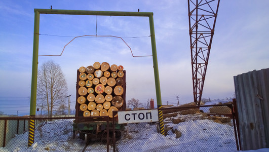 装载木头, 原木在铁路拖车上, 车上.下一站标志照片