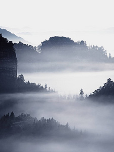 梦幻般的景观在浓雾中丢失了。梦幻般的早晨发光的温柔阳光，雾谷