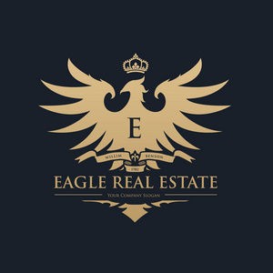 飞鹰 logo,小鸟标志套装,猎鹰徽标,鹰标志,矢量标志模板照片