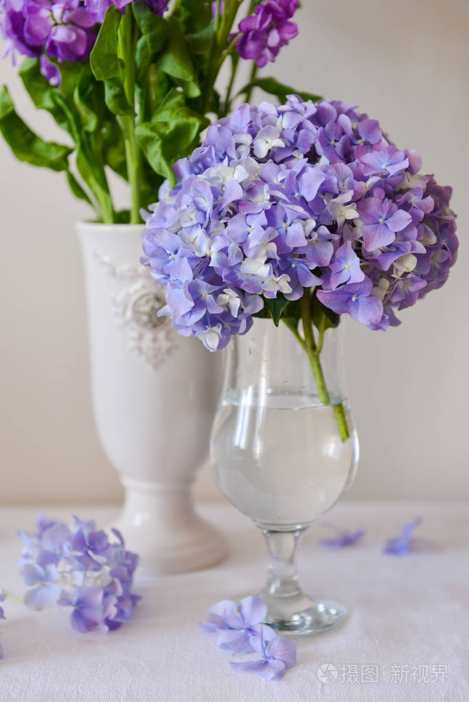 静物与霍滕西亚玻璃花瓶中的鲜花