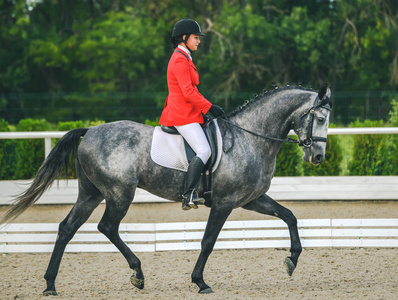 美丽的姑娘在先进盛装舞步测试在马术比赛上照片