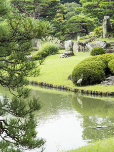 东京日古田花园池塘