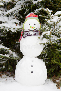 冬季雪景中带帽子的雪人