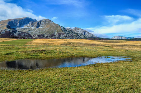 高山景观