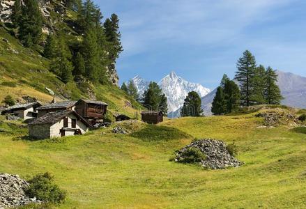 瑞士阿尔卑斯山的田园风光图片