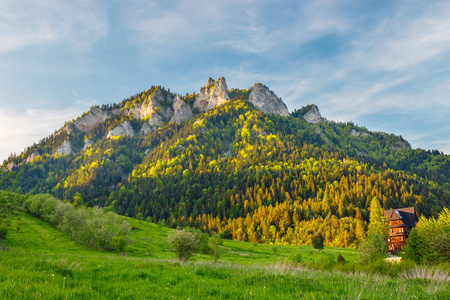 春天在 Pieniny 与背景中的三个冠山