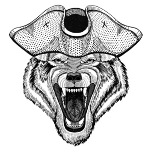 老式的矢量图熊猫熊酷海盗, 海员, seawolf, 水手, 骑自行车的动物