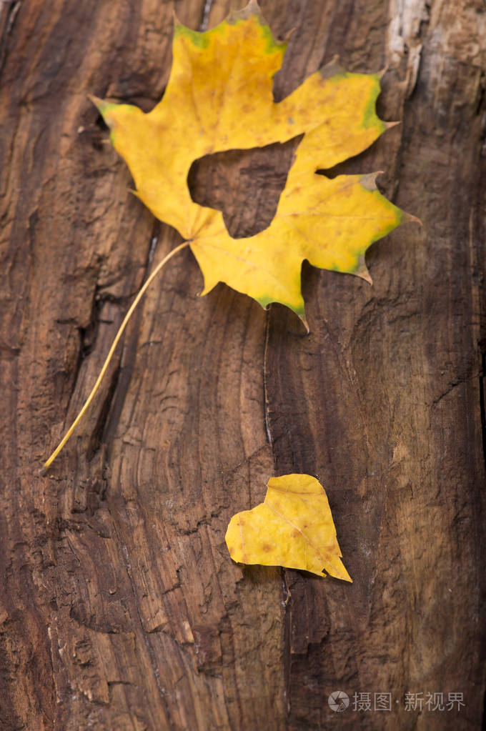 秋天的叶子离开了心.秋天叶子在木头背景