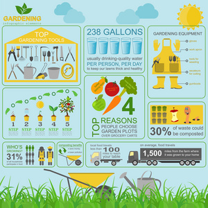 园艺工作信息图表元素。工作工具集