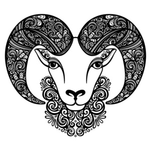 矢量装饰图案角羊照片