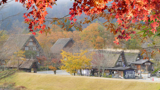 秋天的白川乡和五崮山 J 历史村庄