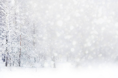 圣诞节背景模糊。在雪中的树木。冬季森林