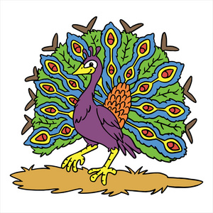 孤立在白色的孔雀卡通插图照片