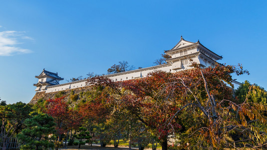 在日本兵库县姬路城堡