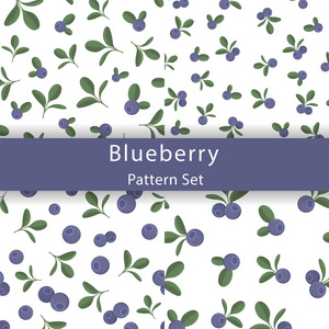 组的向量无缝模式与白色背景上的蓝莓