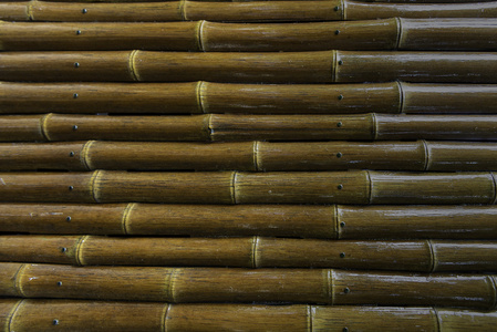 硬木竹子的茎图片