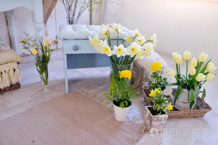 水仙花的花瓶照片 正版商用图片0uzd1k 摄图新视界