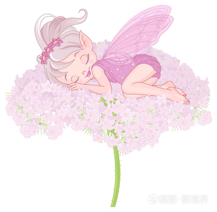 可爱的睡精灵仙女