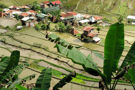 Batad，菲律宾教科文组织水稻梯田