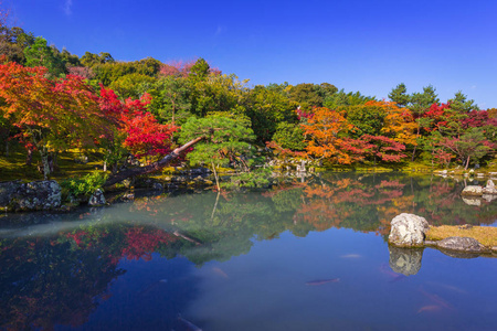 秋天在天龙寺在岚山湖